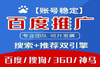 成功SEM推广竞价案例分享